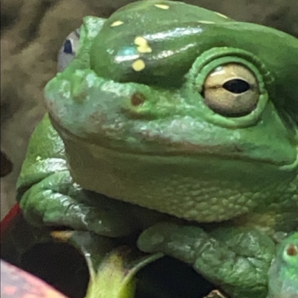 Meet your Posher, Michael - Picture 1 of 1